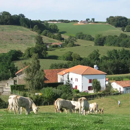 Borde Etchemendia 別荘 Mendionde