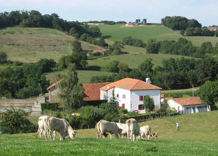 Borde Etchemendia Casa vacanze Mendionde